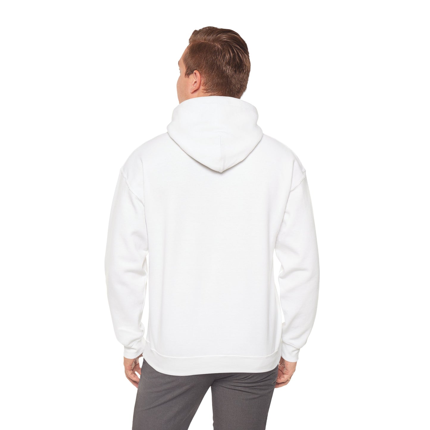 DAO1 Hoodie Basic Light